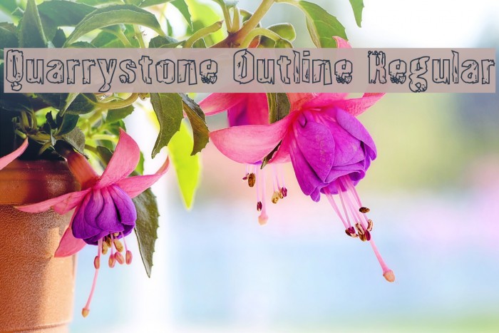 Quarrystone Outline Regular Example 3