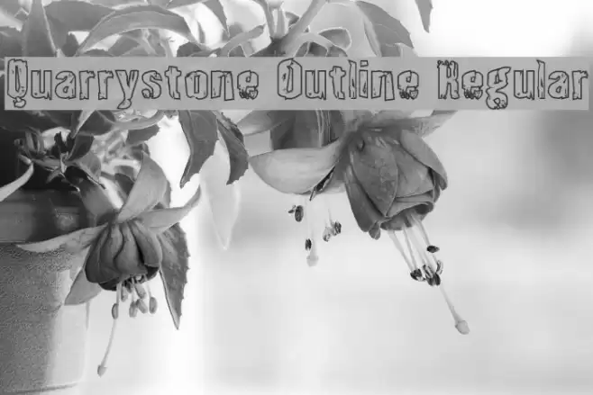 Quarrystone Outline Regular Font examples