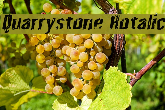 Quarrystone Rotalic Font examples
