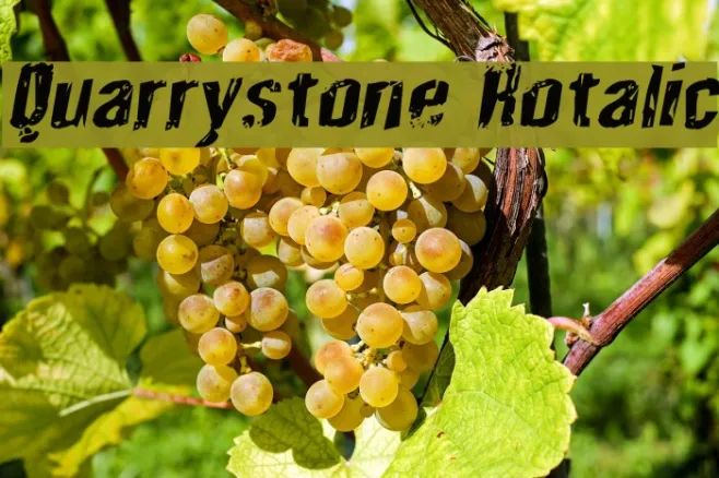 Quarrystone Rotalic Example 2