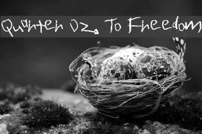 Quarter Oz. To Freedom Font examples