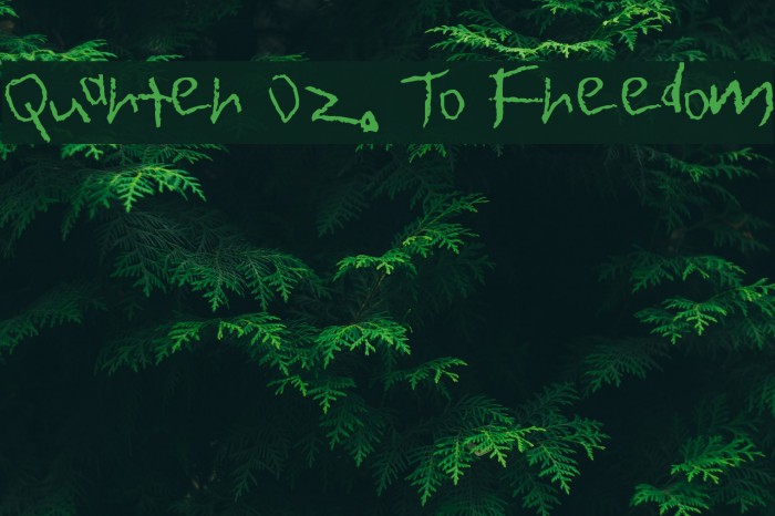Quarter Oz. To Freedom Font examples