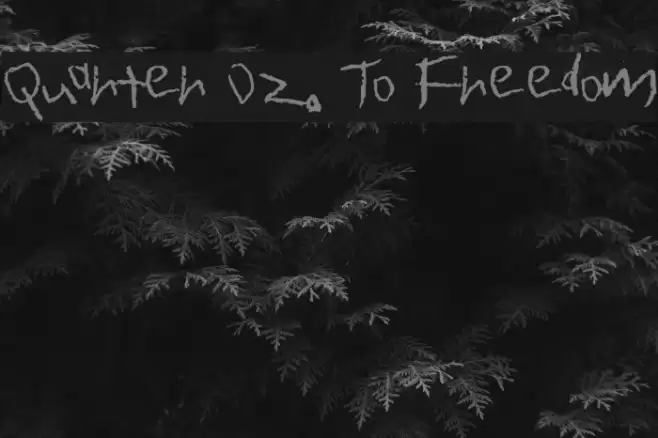 Quarter Oz. To Freedom Font examples
