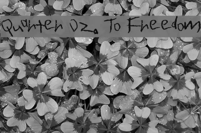 Quarter Oz. To Freedom Font examples