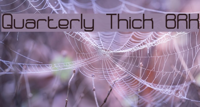 Quarterly Thick BRK Polices examples
