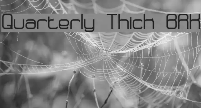 Quarterly Thick BRK Font examples