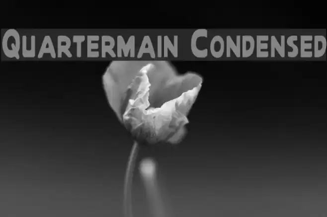 Quartermain Condensed Font examples