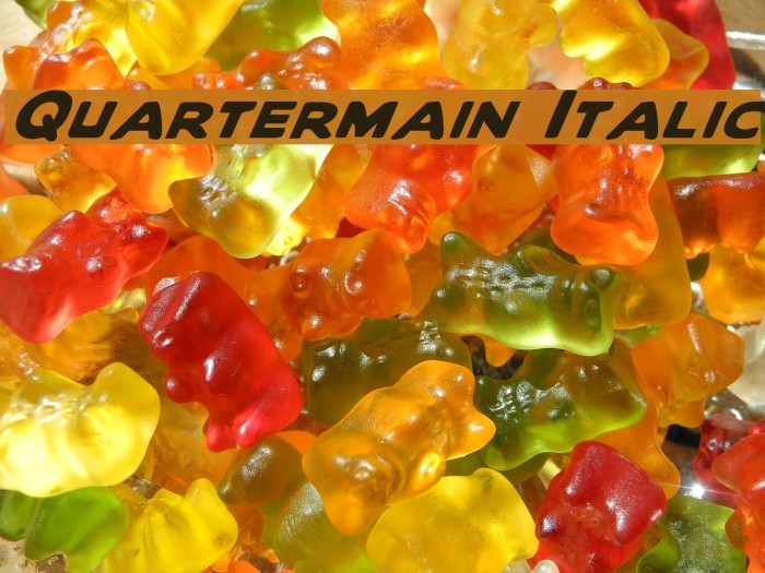 Quartermain Italic Font examples
