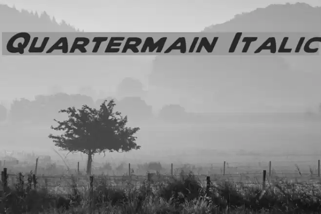 Quartermain Italic Font examples