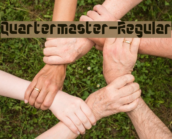 Quartermaster-Regular Example 2