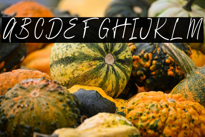 Quartila Regular Example 2