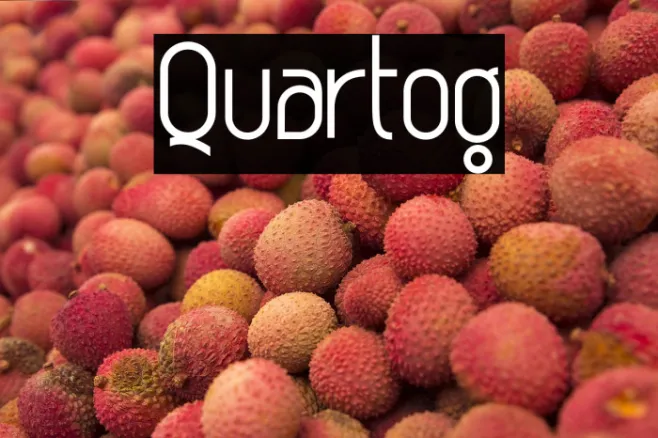 Quartog Example 2