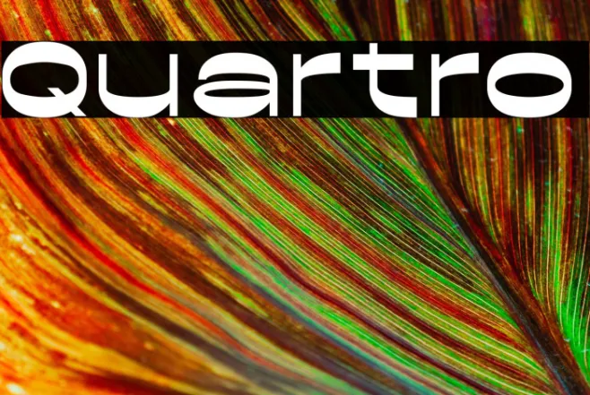 Quartro Example 1