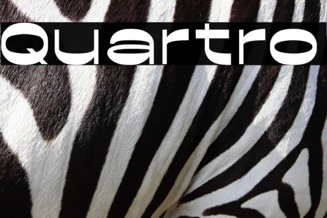 Quartro Example 2