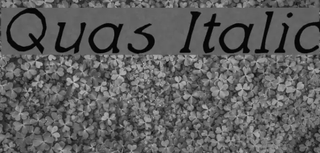 Quas Italic Font examples