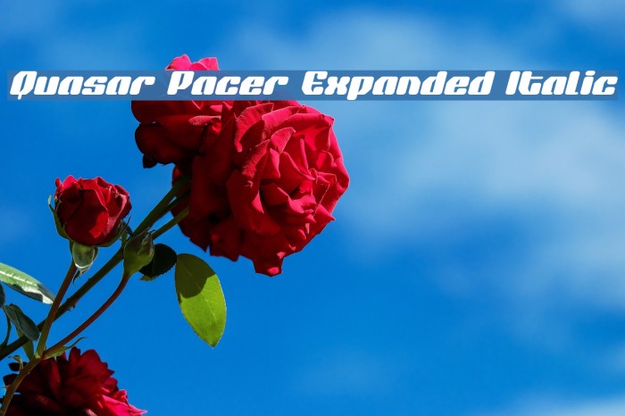 Quasar Pacer Expanded Italic Example 1