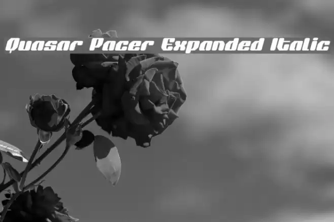 Quasar Pacer Expanded Italic Font examples