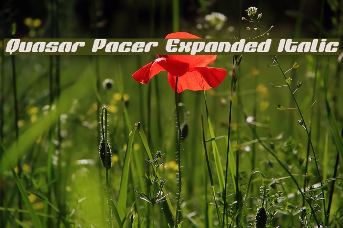 Quasar Pacer Expanded Italic Example 2