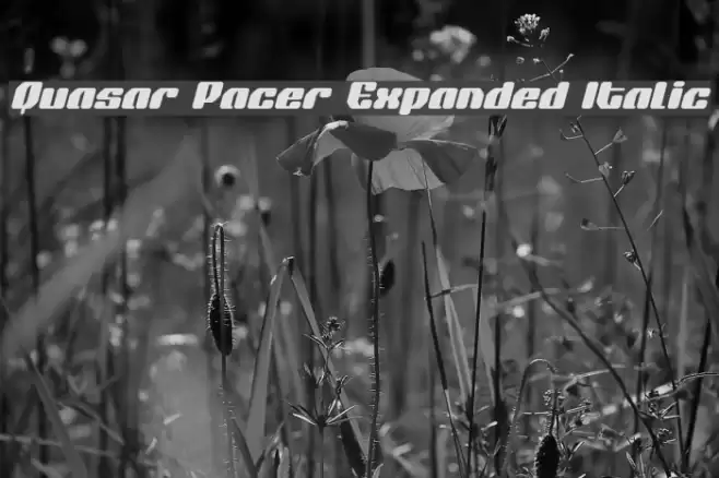 Quasar Pacer Expanded Italic Font examples