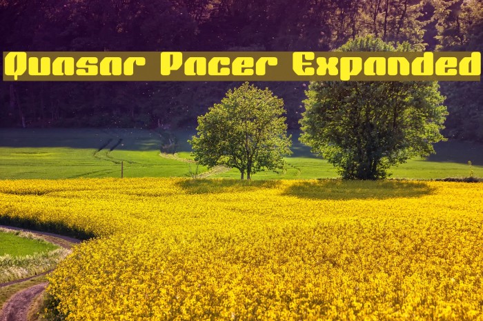 Quasar Pacer Expanded Example 2