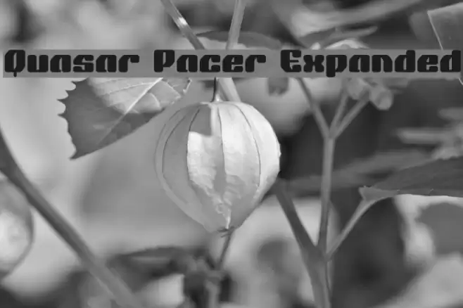 Quasar Pacer Expanded Font examples