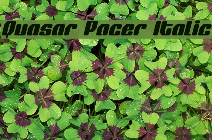 Quasar Pacer Italic Font examples