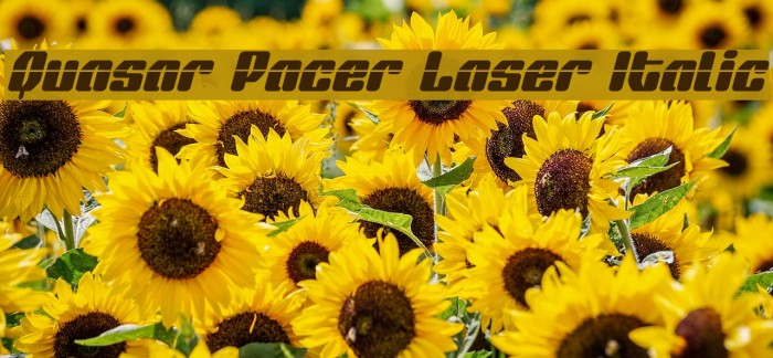 Quasar Pacer Laser Italic Example 2
