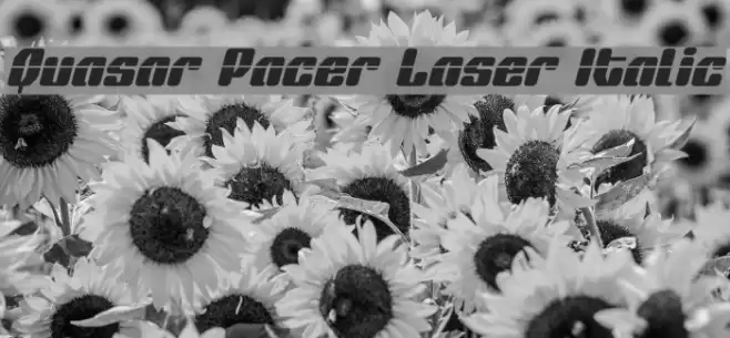 Quasar Pacer Laser Italic Font examples