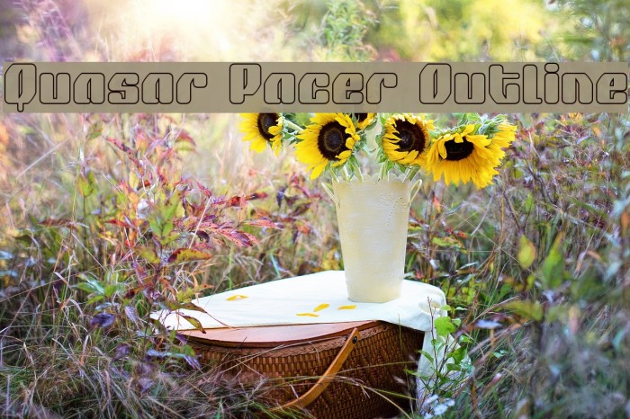 Quasar Pacer Outline Font examples