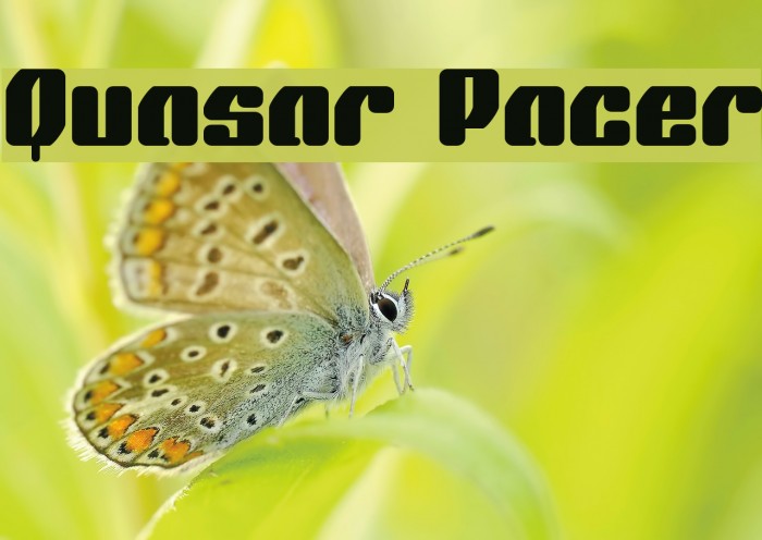Quasar Pacer Font examples
