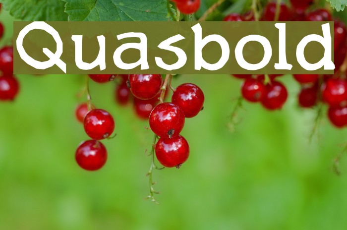 Quasbold Example 1