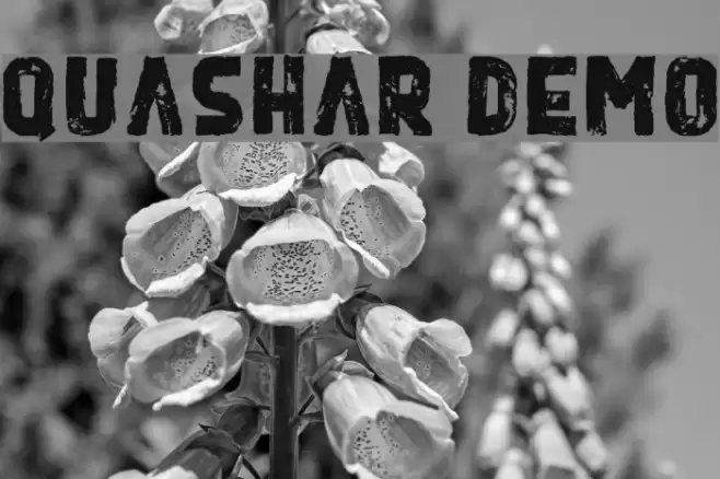 Quashar Demo Font examples
