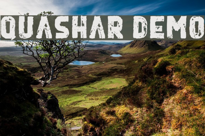 Quashar Demo Example 2