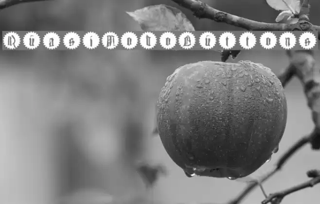 QuasiModoButtons Font examples