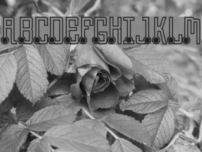 Quasidipitous Black Spot Font examples