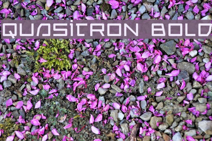 Quasitron Bold Font examples
