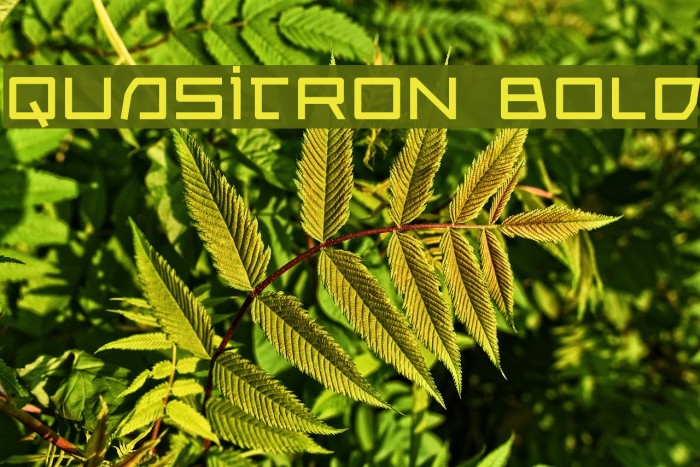 Quasitron Bold Font examples