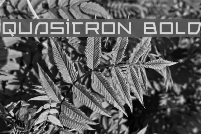 Quasitron Bold Caratteri examples