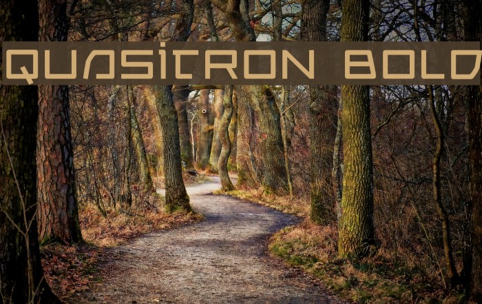 Quasitron Bold Font examples