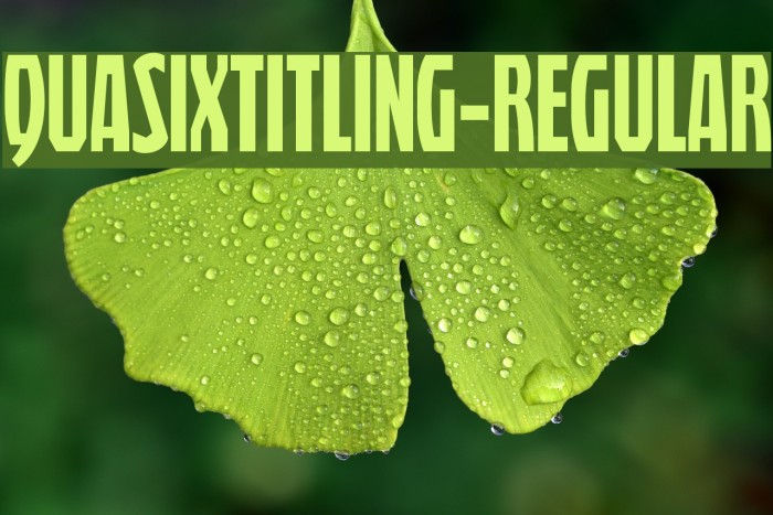 QuasixTitling-Regular Example 2