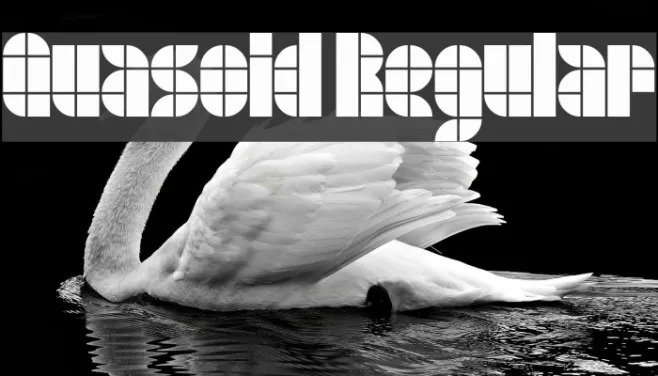 Quasoid Regular Example 3