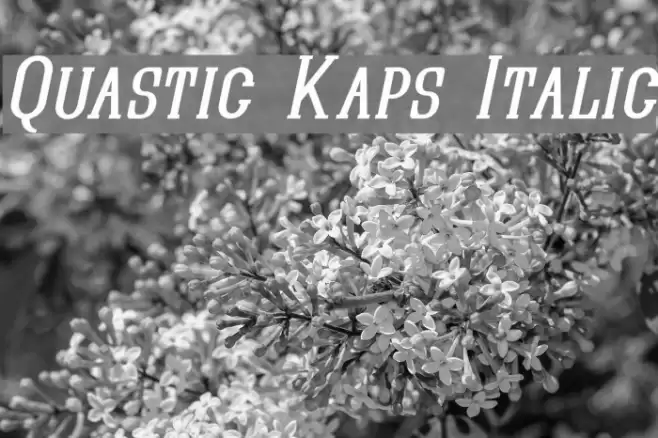 Quastic Kaps Italic Font examples