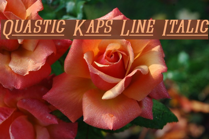 Quastic Kaps Line Italic Fuentes examples