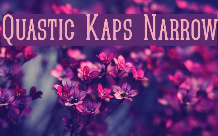 Quastic Kaps Narrow Font examples