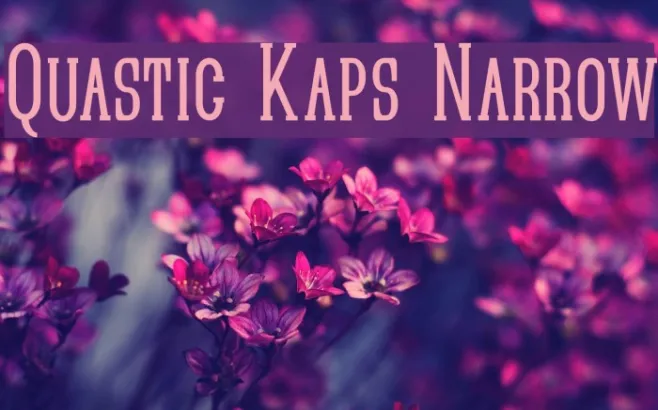 Quastic Kaps Narrow Example 3