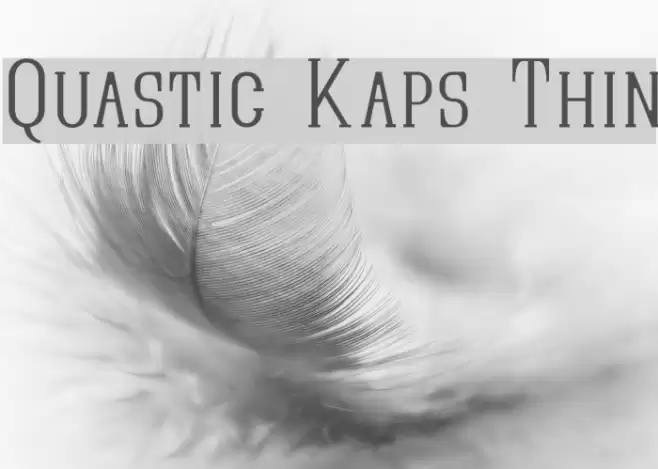Quastic Kaps Thin Font examples