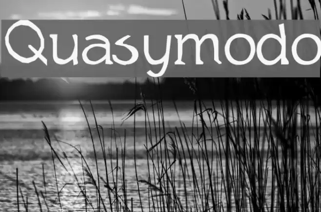 Quasymodo Font examples