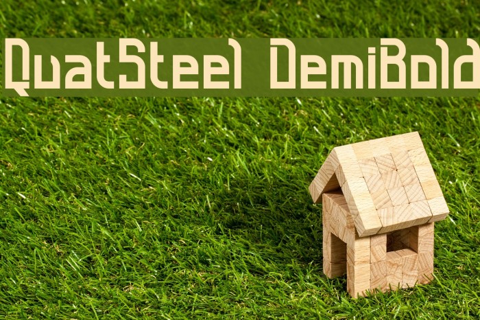 QuatSteel DemiBold Font examples