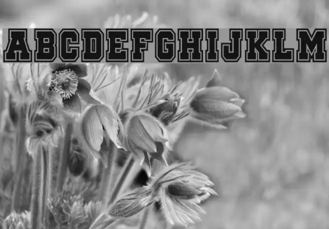 Quaterback Fight Campus Font examples