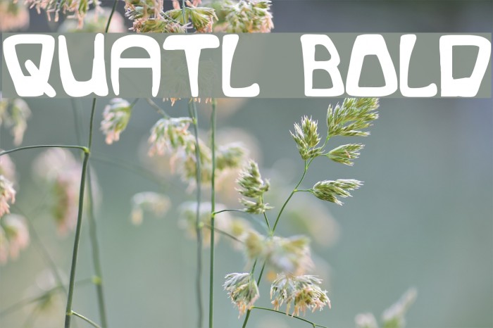 Quatl Bold Font examples